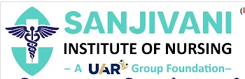 Sanjivani Institute of Nursing Logo